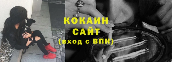 индика Корсаков