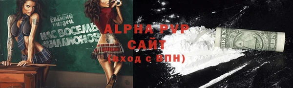 индика Корсаков