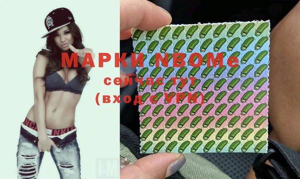 индика Корсаков