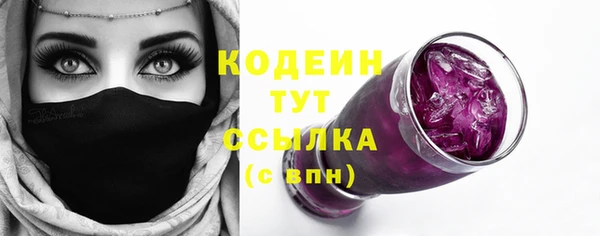 индика Корсаков