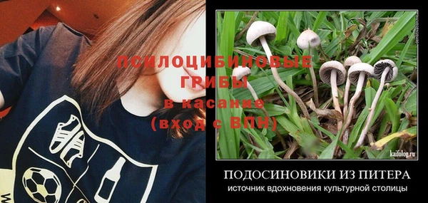 мескалин Коряжма