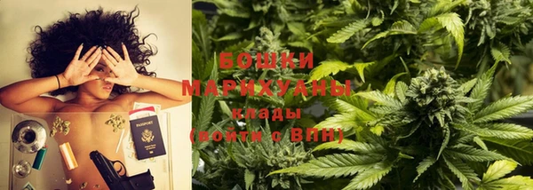 индика Корсаков