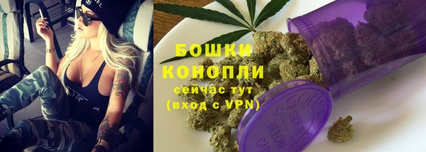 индика Корсаков